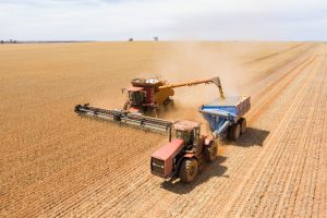 Grain Harvest Season | Grainwise