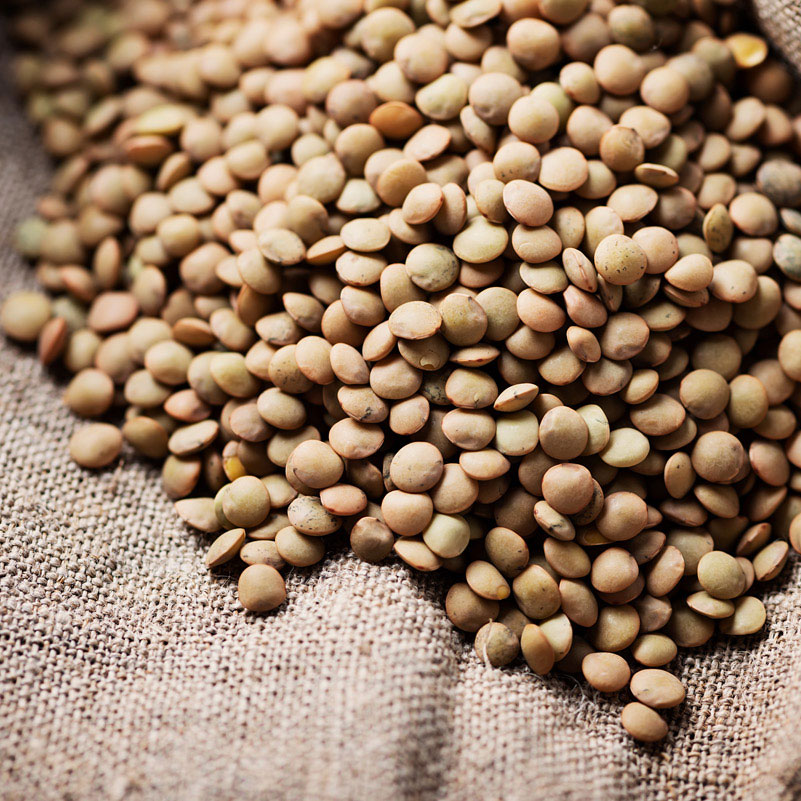 Australian Lentil price