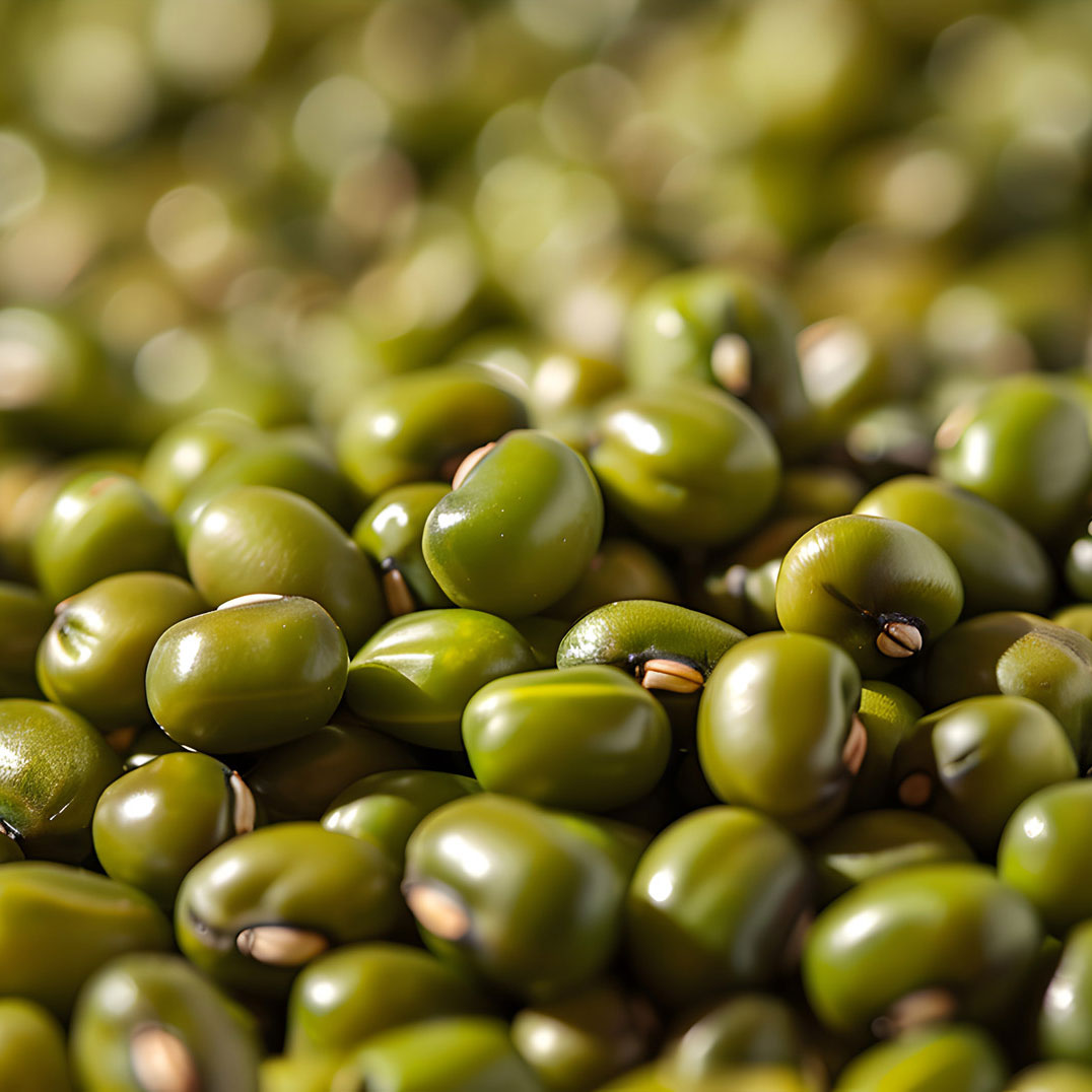 Australian Mung Beans